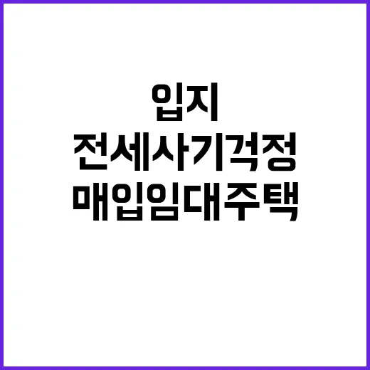 매입임대주택 입지 …