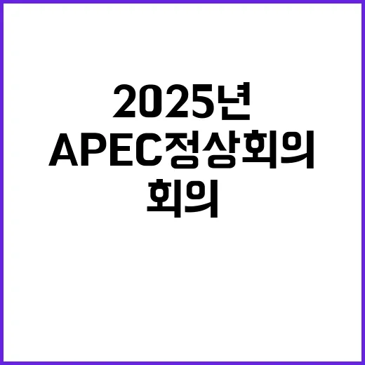 APEC 정상회의 2025년 기본계획 의결 소식!