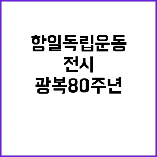 “전시 광복 80주년 항일 독립운동 국가유산 공개!”