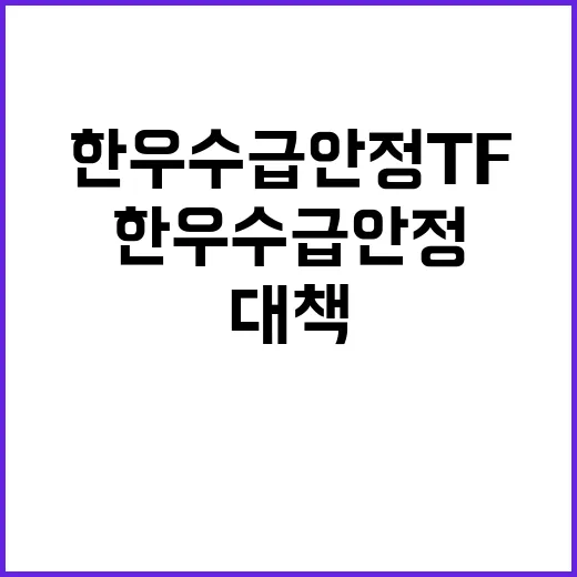 한우 수급 안정 TF 중장기 대책 추진 소식!