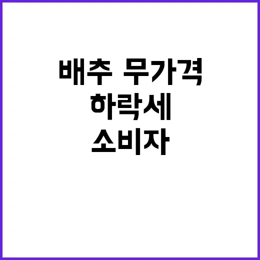 배추·무 가격 하락…