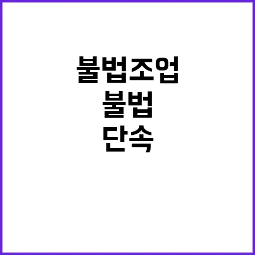 꽃게 수급 안정 불…