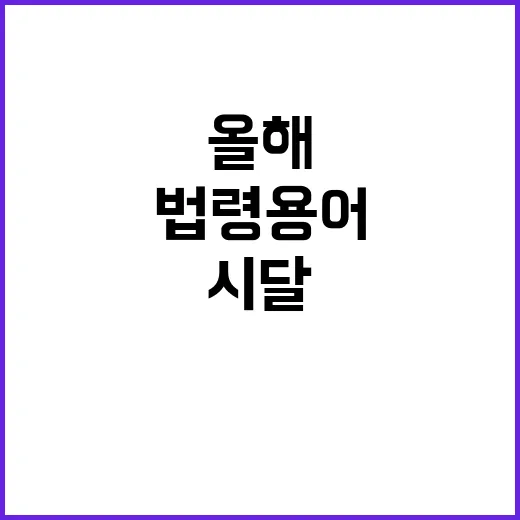 먼지 날림 시달 수정한 올해 법령 용어 공개!