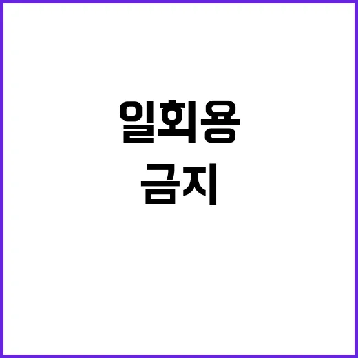 일회용컵 금지 실제…