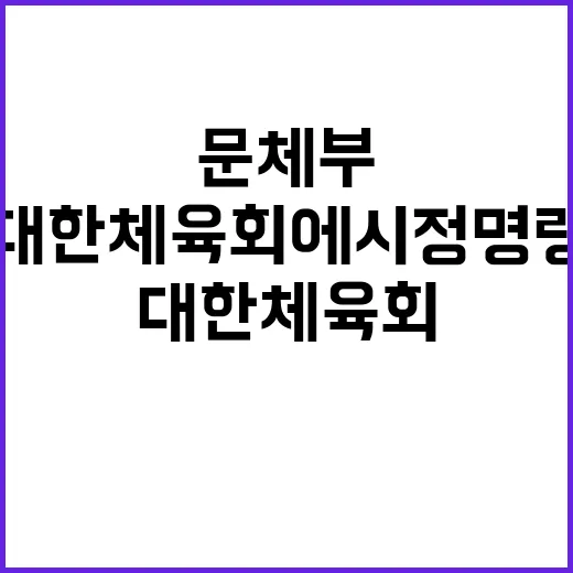 문체부 대한체육회에…