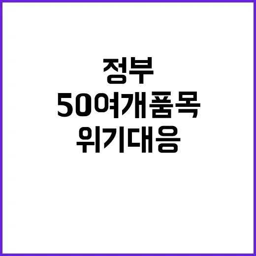 위기대응 정부의 5…