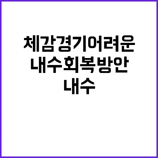 체감경기 어려운 현실 내수 회복 방안 있다!