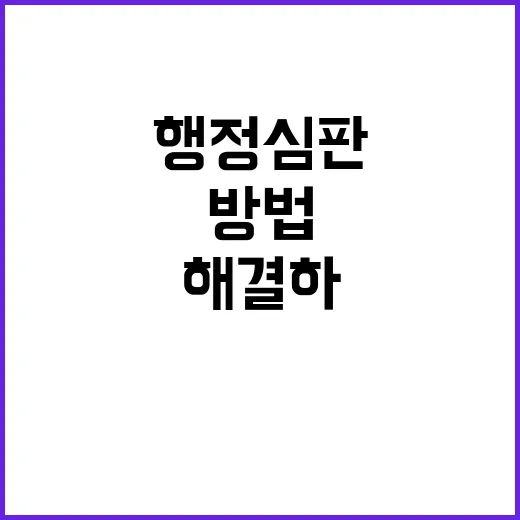 행정심판 전문가 도…