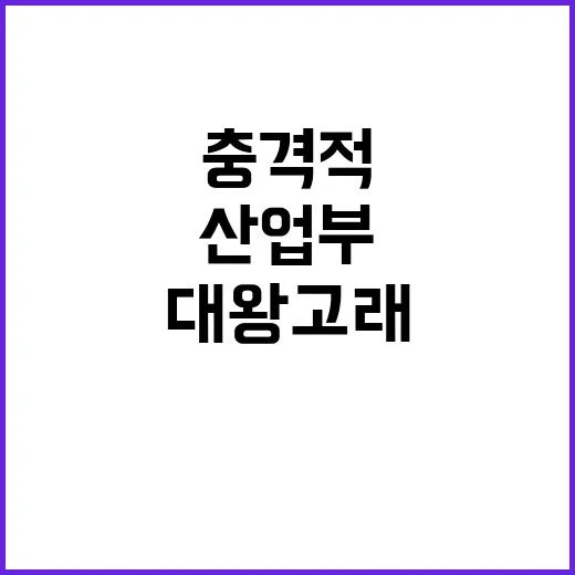 대왕고래 프로젝트 산업부의 충격적인 진실 발표!