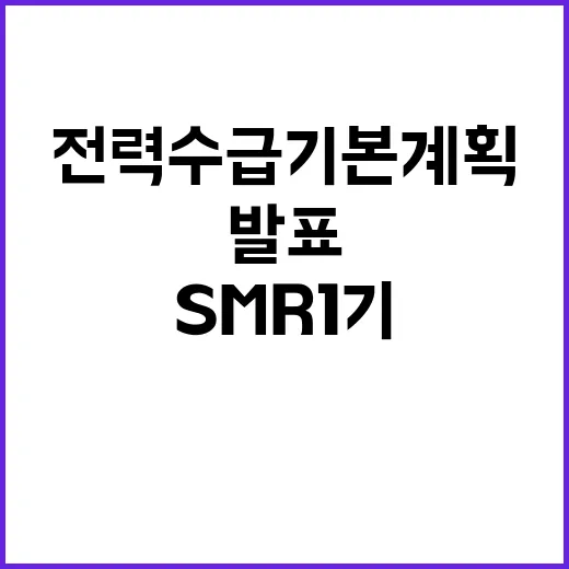 전력수급기본계획 SMR 1기 건설 확정 발표!