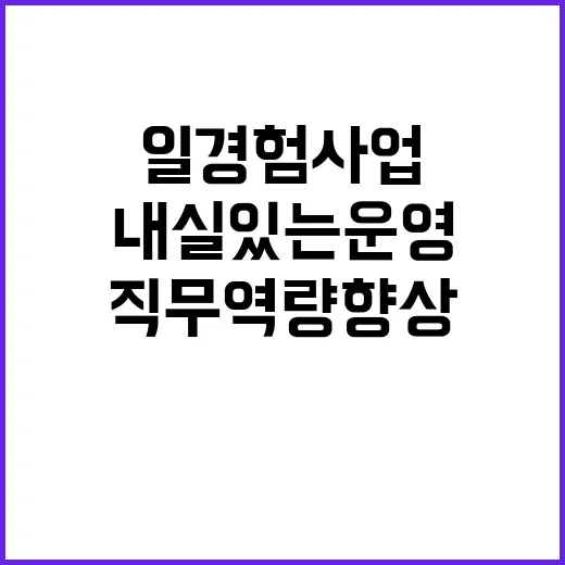 일경험 사업 직무역…