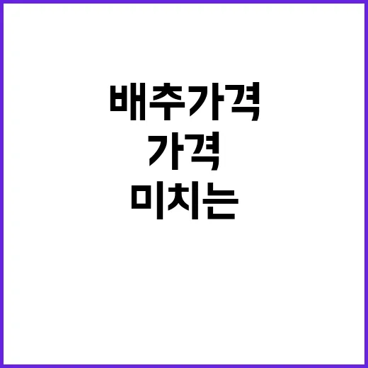 배추 가격 하락 농…