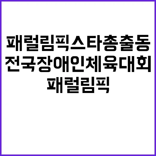 패럴림픽 스타 총출…