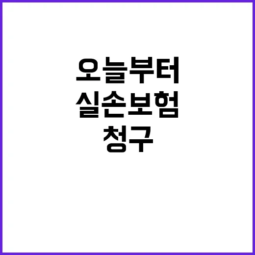 실손보험 전산화 오…