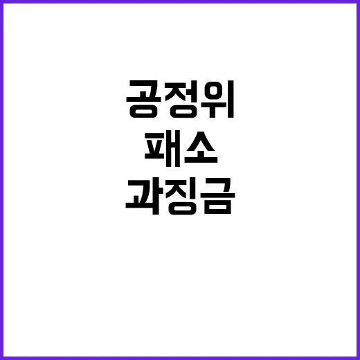 공정위 패소 후 과…