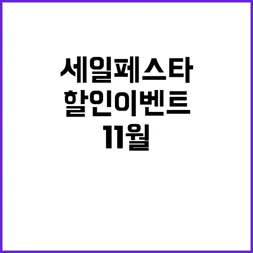 세일페스타 11월 …