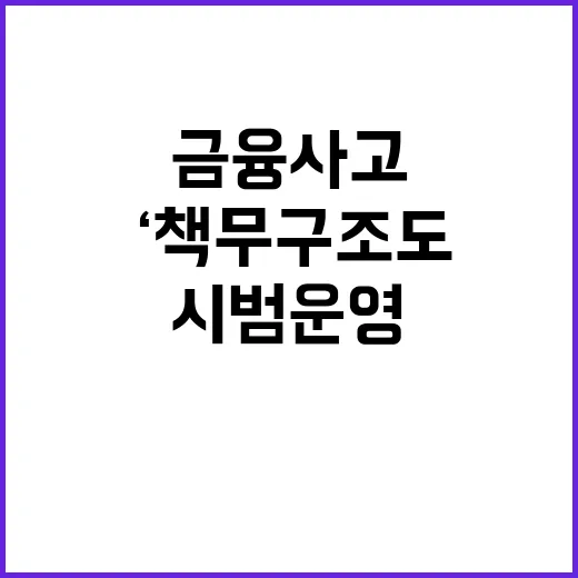 금융사고 방지 ‘책…