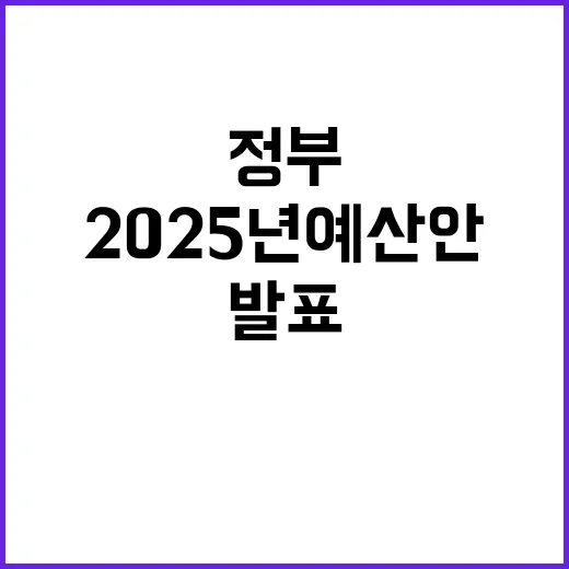 2025년 예산안 …