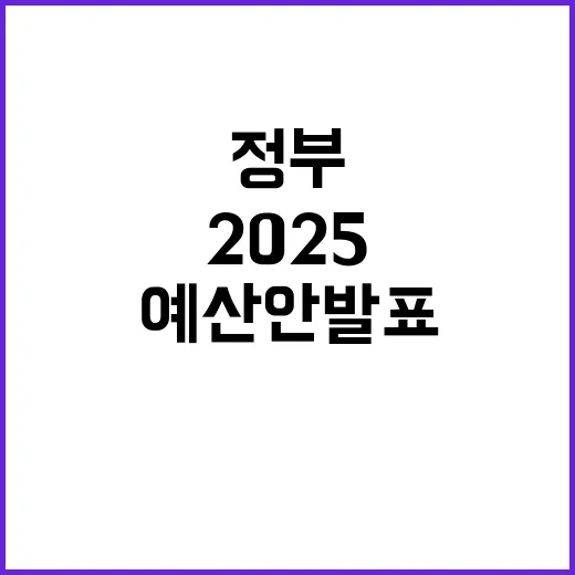 2025 예산안 발…