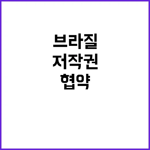 브라질 중남미 콘텐…