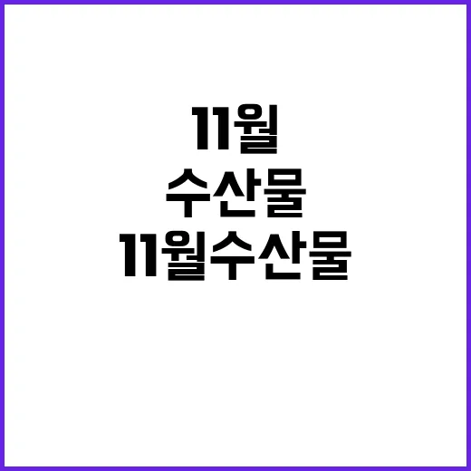 11월 수산물 풍부…