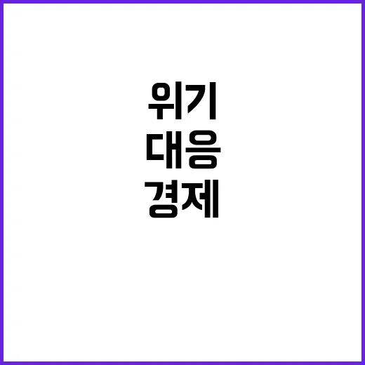 위기대응 경제운용 …