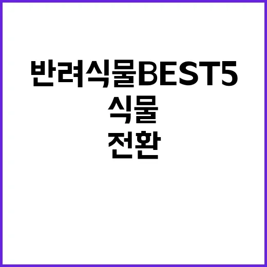 반려식물 BEST …