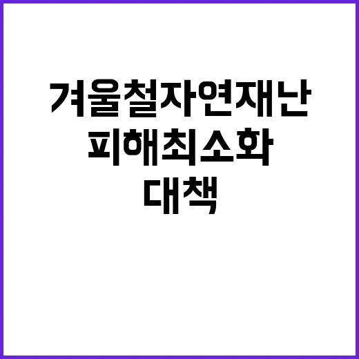 겨울철 자연재난 대…