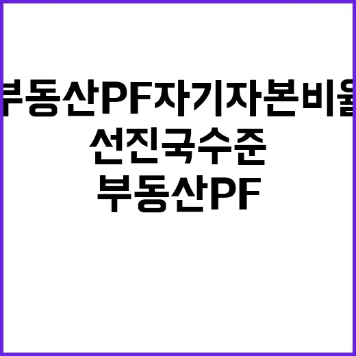 부동산 PF 자기자…