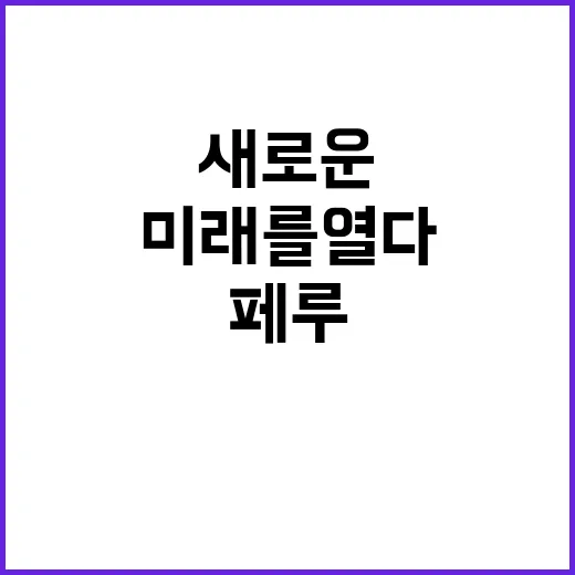 공동선언문 한페루 …