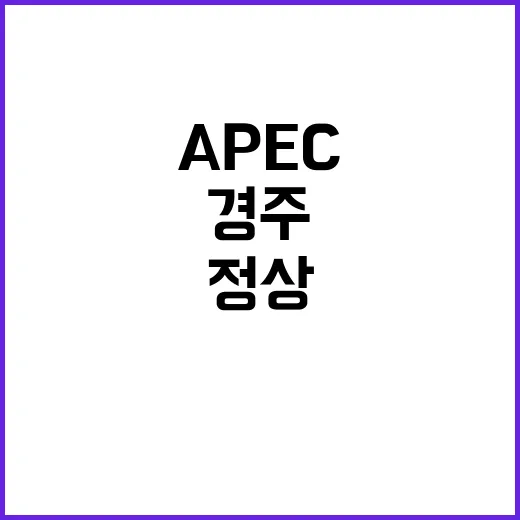 APEC 정상회의 …