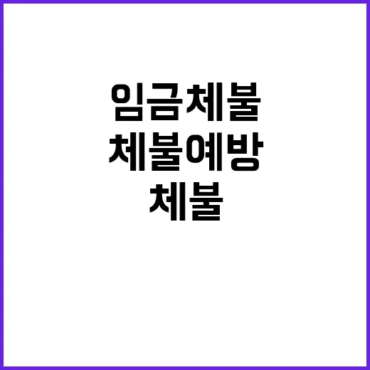 임금체불 예방 고용…