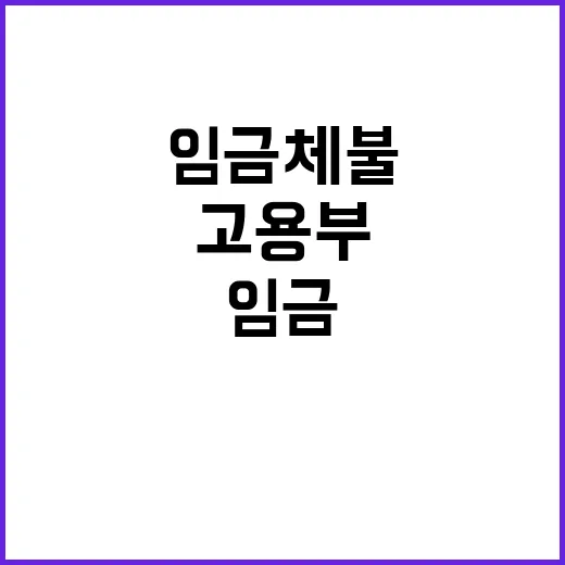 임금체불 중대범죄 …