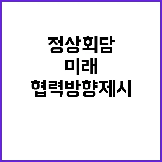 정상회담 한·페루 …