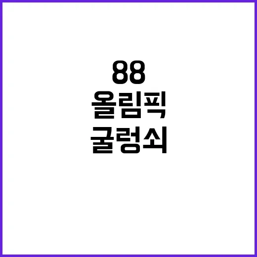 ‘88서울올림픽 굴…