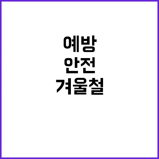 대설 안전대책 겨울…