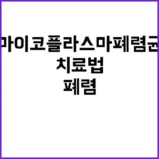 마이코플라스마 폐렴균 치료법 현장서 이미 사용 중!