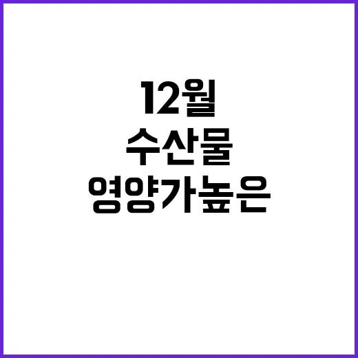 영양가 높은 12월 수산물 두 가지 공개!