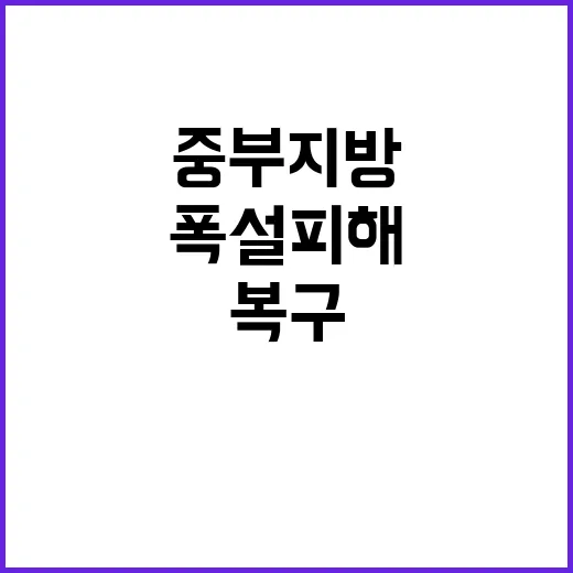 폭설 피해 중부지방 최선의 복구 방법 공개!