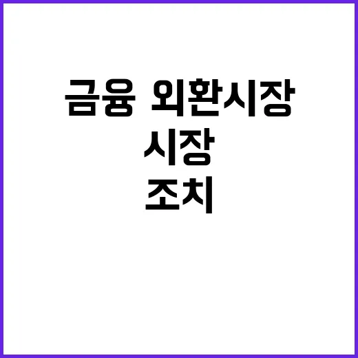 금융·외환시장 정부의 신속 조치 예고됨!