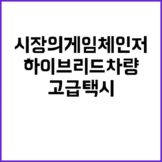 하이브리드 차량 고급택시 시장의 게임 체인저!