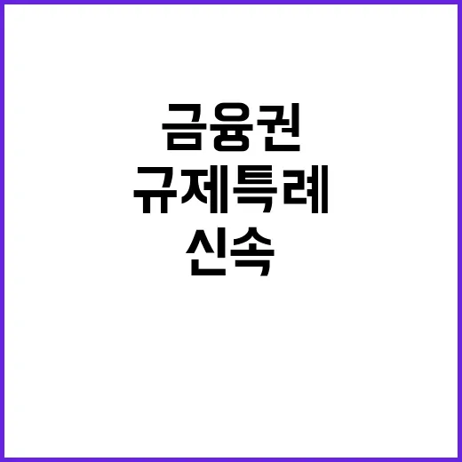 금융권 규제 특례 신속 처리 중 사실은?