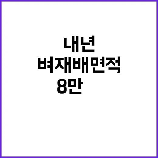 벼 재배면적 내년 8만㏊ 줄어든다!