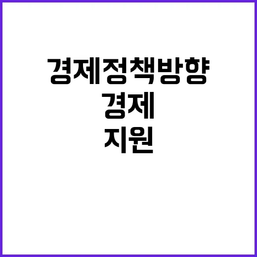 방한관광 지원 내년 경제정책 방향은?