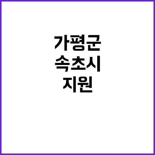 가평군 속초시 특별 지원으로 도약할 기회!