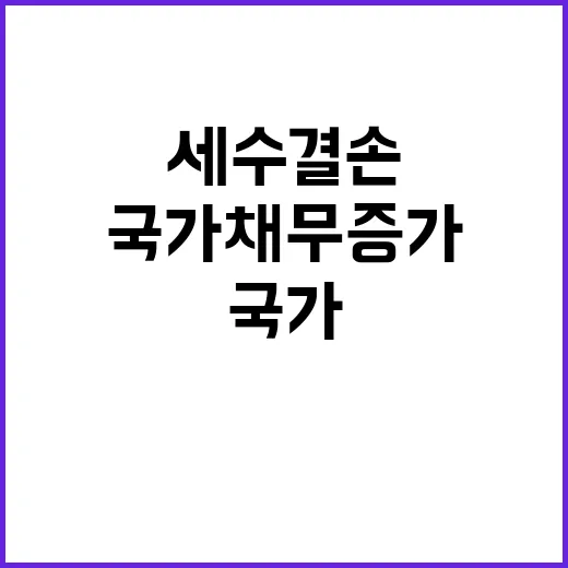 국가채무 증가 진실 세수결손과 무관하다!