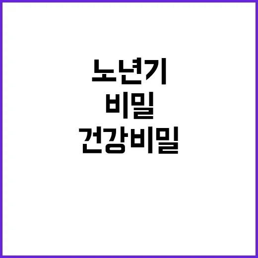 비타민D 보충 노년기 건강 비밀 공개!