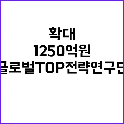 글로벌 TOP 전략연구단 연 1250억 원 지원 확대!