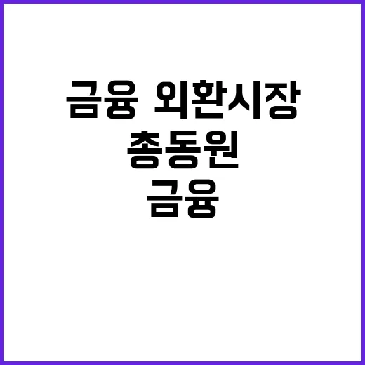 금융·외환시장 정부의 가용수단 총동원한 관리!