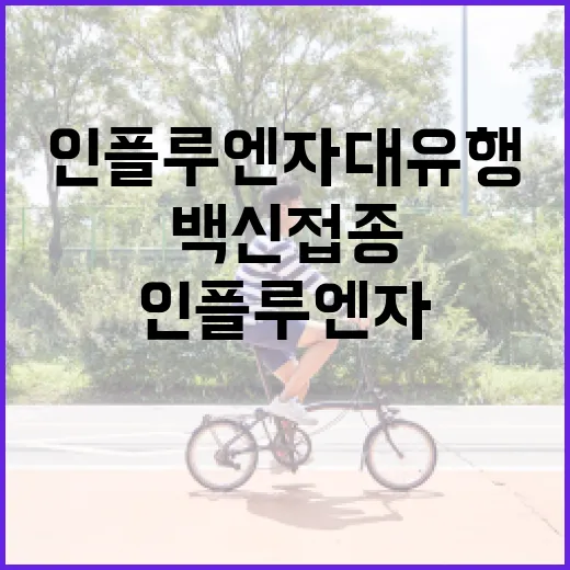 인플루엔자 대유행 백신 접종 서둘러야!